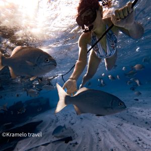 Acuario – Rose Cay y Haynes Cay