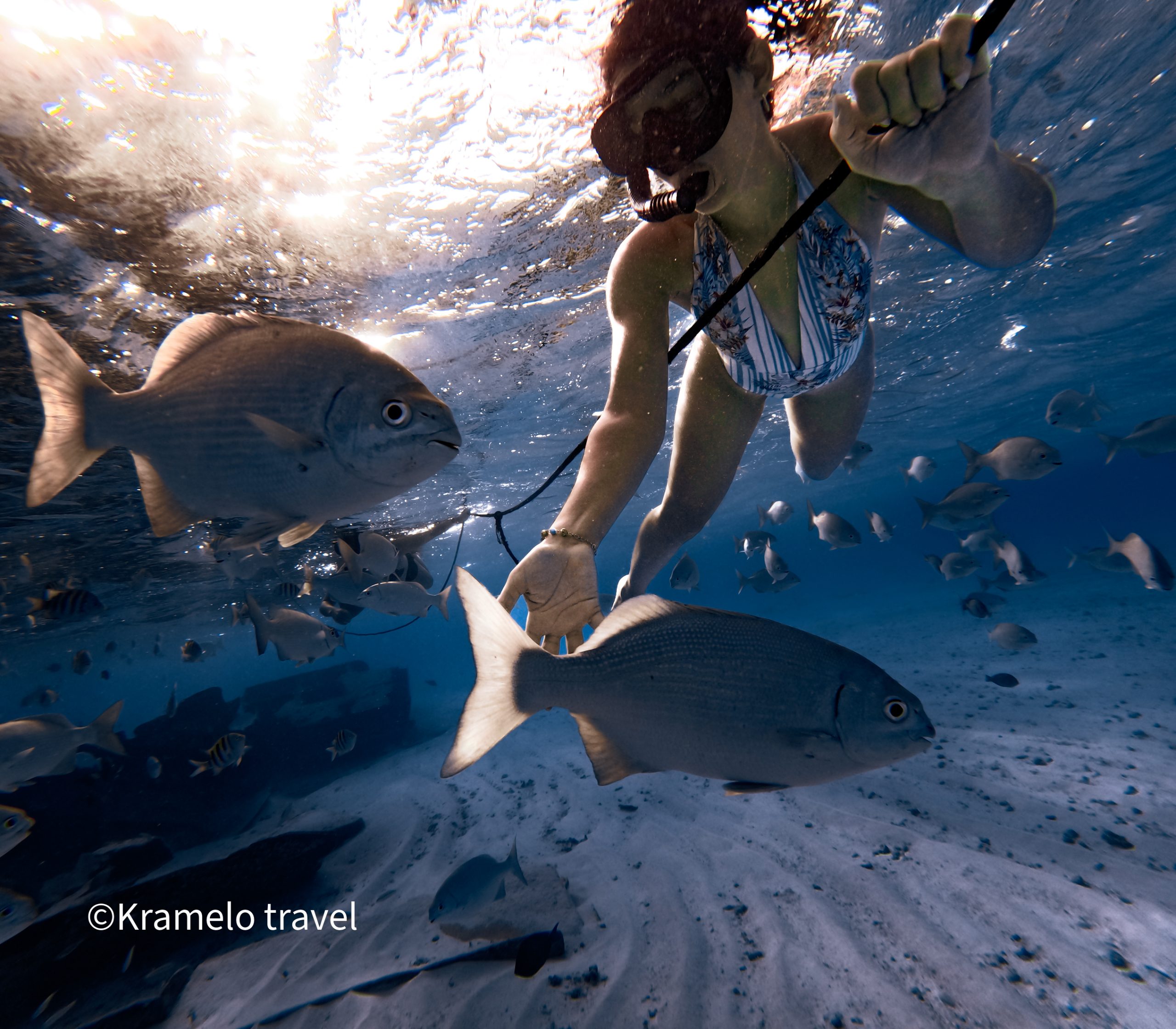 Acuario natural San Andrés Islas (15)